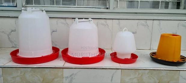 Chicken Feeder - thumbnail 3