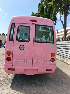 Mitsubishi Fuso Rosa 2020 Pink