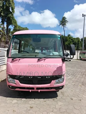 Mitsubishi Fuso Rosa 2020 Pink