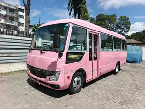 Mitsubishi Fuso Rosa 2020 Pink