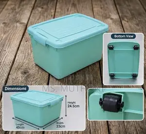 Mobile Heavy-Duty Plastic Toy Organizer Box