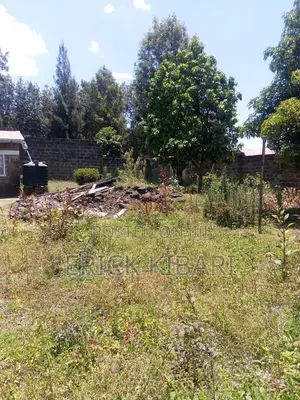 Furnished 3bdrm House in Zaburi for sale