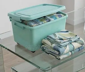 Rolling / Wheeled Storage Trunk Organizer