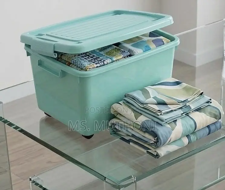 Rolling / Wheeled Storage Trunk Organizer
