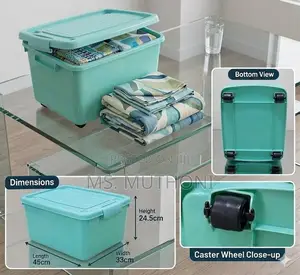 Rolling / Wheeled Storage Trunk Organizer