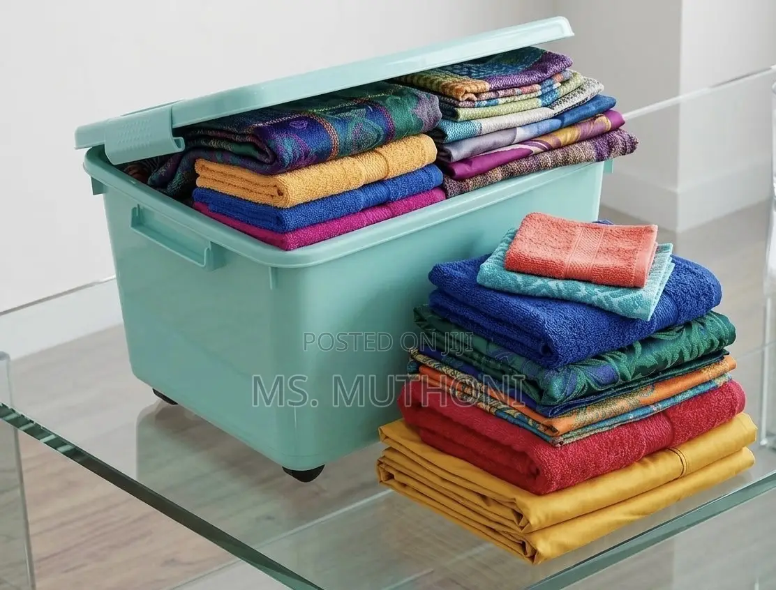 Rolling / Wheeled Storage Trunk Organizer