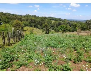 1/4 Acre by Owner With Title in Nyandarura, Ndaragwa, Pesi