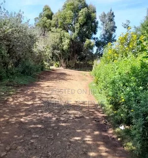 1/4 Acre by Owner With Title in Nyandarura, Ndaragwa, Pesi