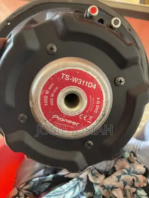 Pioneer Speaker