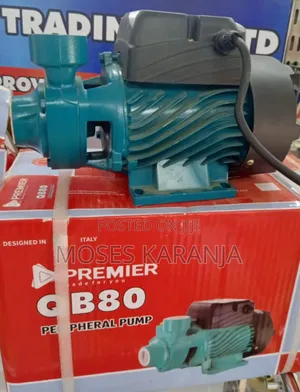 Premier QB80 1HP 60M High Pressure Water Booster Pump