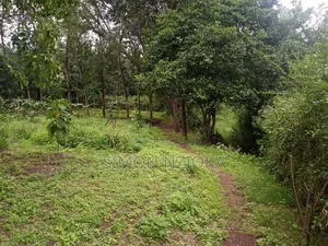 1 Acre for Sale in Karen, Nairobi