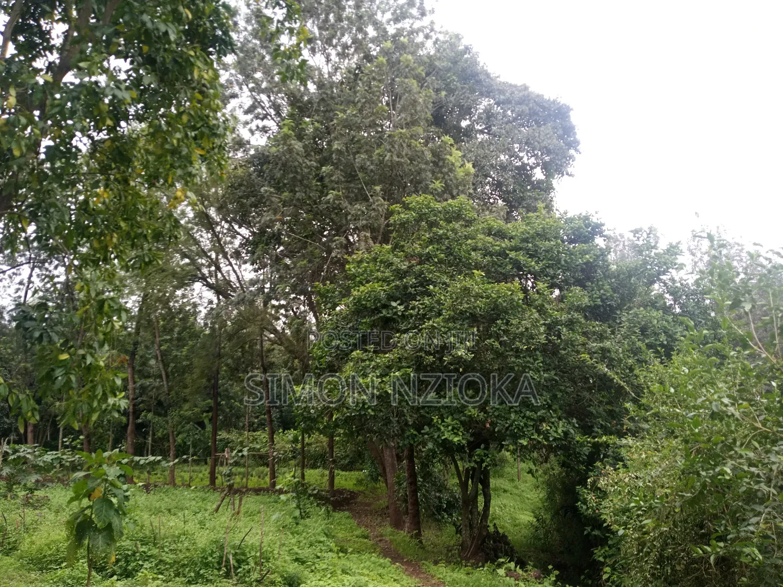 1 Acre for Sale in Karen, Nairobi