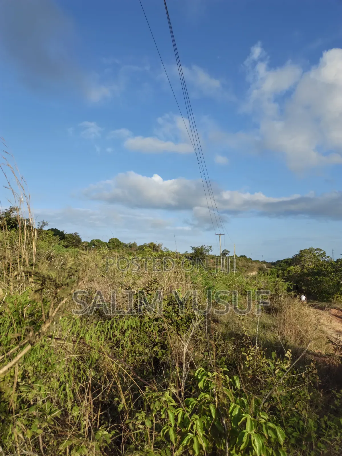 Land on Sale Tiwi Magodzoni 10 Acres 1,500,000/Per Acre