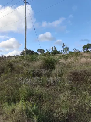 Land on Sale Tiwi Magodzoni 10 Acres 1,500,000/Per Acre