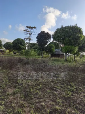 Land on Sale Tiwi Magodzoni 10 Acres 1,500,000/Per Acre