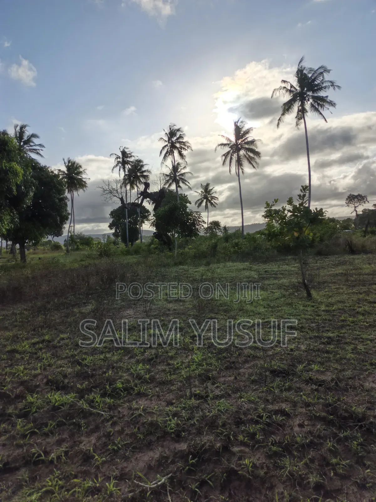 Land on Sale Tiwi Magodzoni 10 Acres 1,500,000/Per Acre