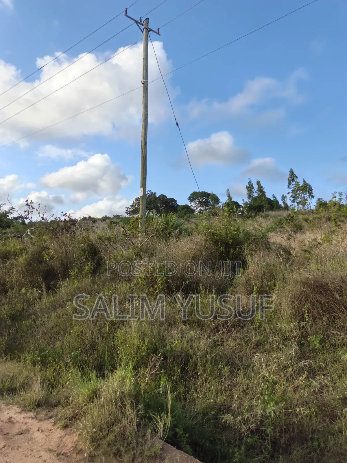 Land on Sale Tiwi Magodzoni 10 Acres 1,500,000/Per Acre