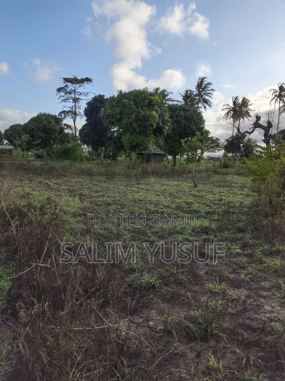 Land on Sale Tiwi Magodzoni 10 Acres 1,500,000/Per Acre