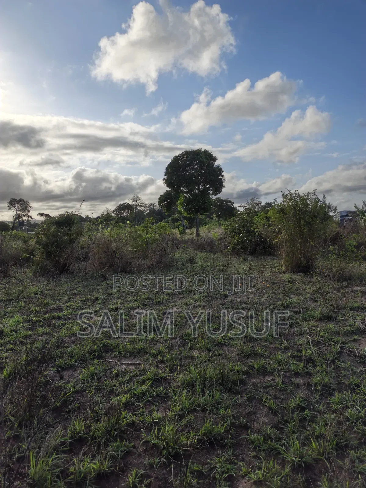 Land on Sale Tiwi Magodzoni 10 Acres 1,500,000/Per Acre