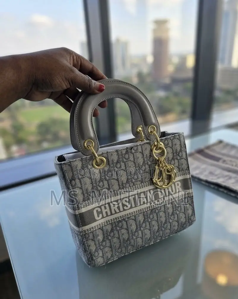 Christian Dior Lady D-Lite Bag