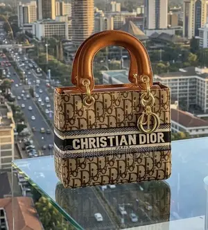 Christian Dior Lady D-Lite Bag