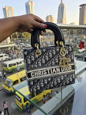 Christian Dior Lady D-Lite Bag