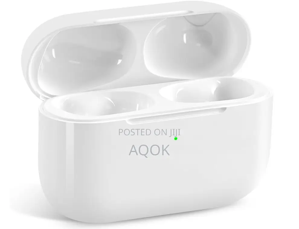 AirPod Pro 2 Charging Case
