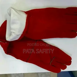 Long Leather Gloves