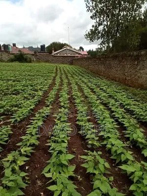 Land for Sale Along Waiyaki Way, Mountain View