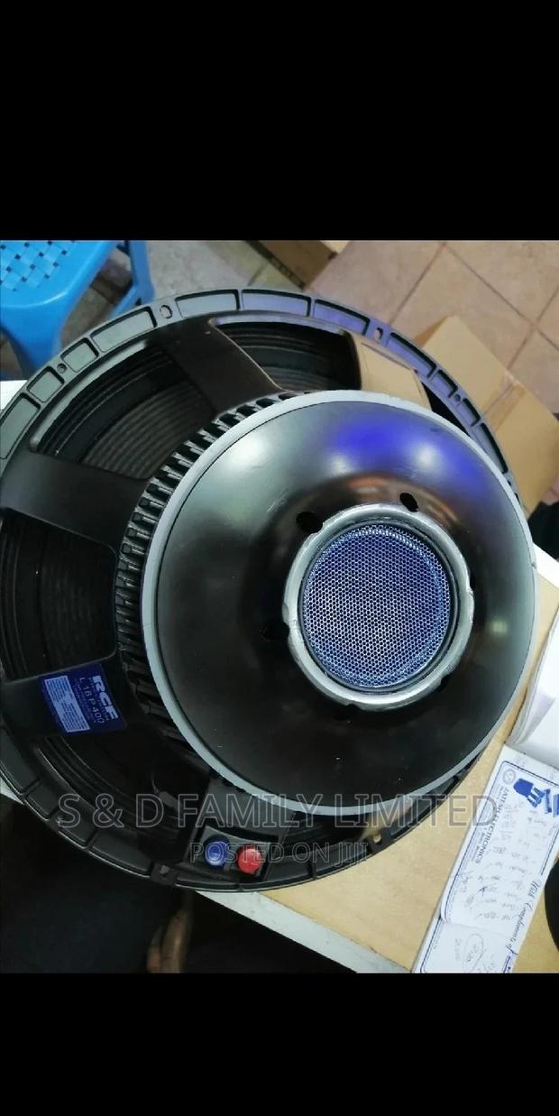 RCF 18 Inch Naked Speaker