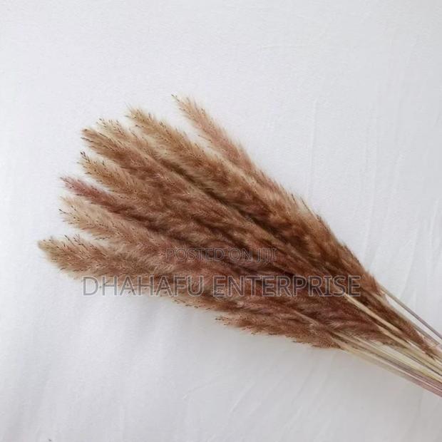 Dried Mini Pampas Grass (10pcs) - thumbnail 4