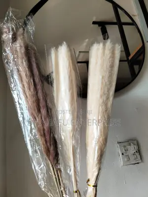 Dried Mini Pampas Grass (10pcs)