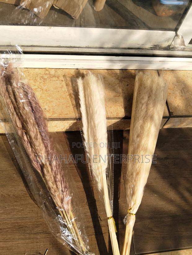Dried Mini Pampas Grass (10pcs) - thumbnail 6