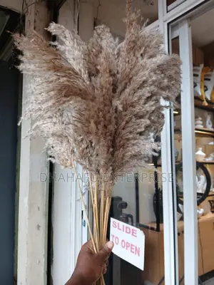 Dried Mini Pampas Grass Bunch – Natural Boho Decor | 10 Stems