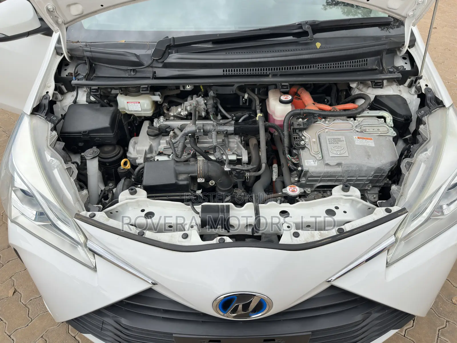 Toyota Vitz 2019 White