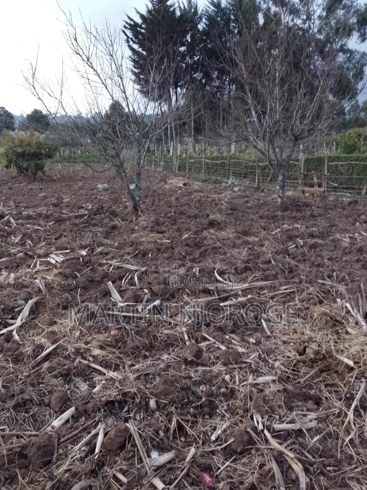 1⁄2 Acre Mwendandu