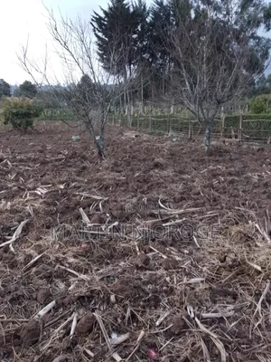 1⁄2 Acre Mwendandu