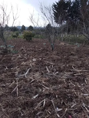 1⁄2 Acre Mwendandu