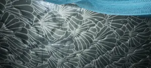 Kilimanjaro Mattress