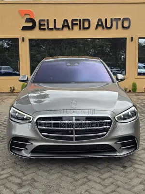 Mercedes-Benz S-Class S 500 (W222) 2020 Brown