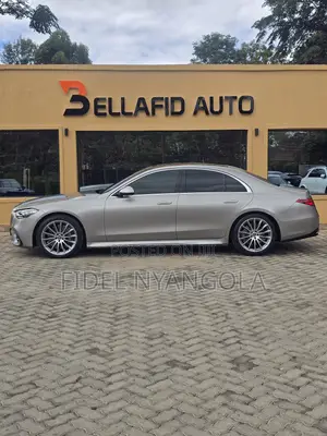 Mercedes-Benz S-Class S 500 (W222) 2020 Brown