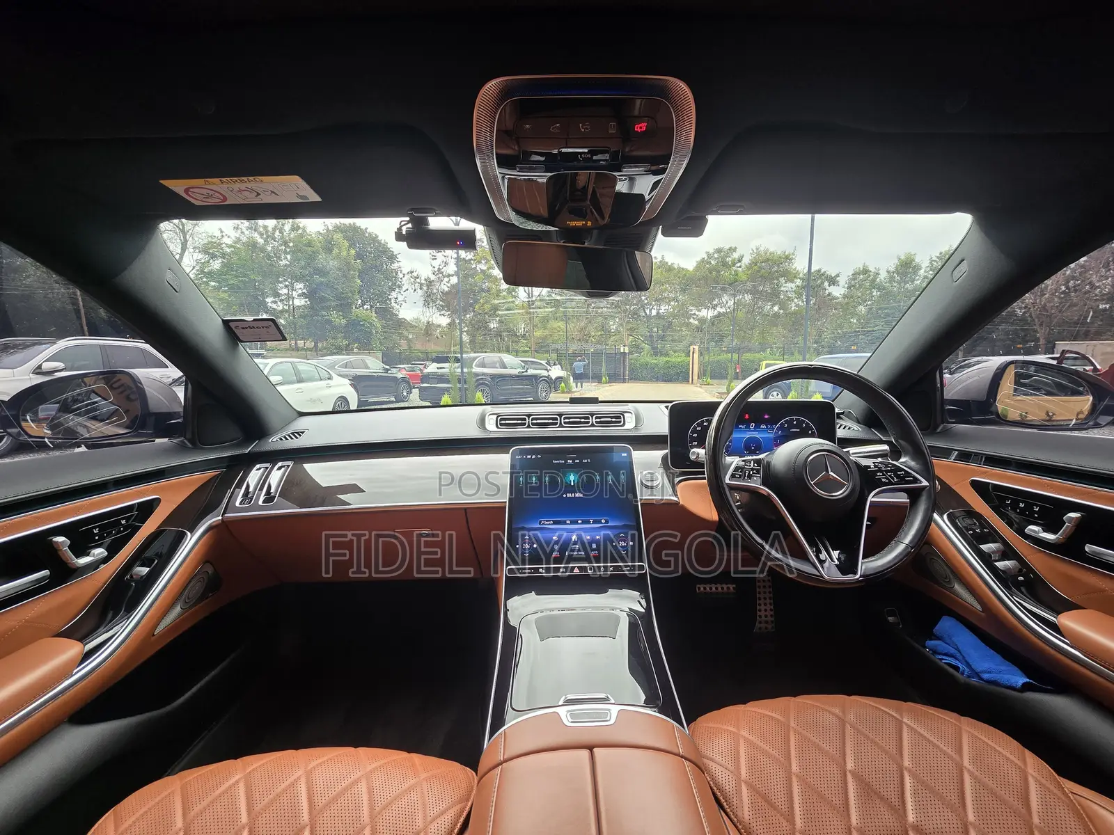 Mercedes-Benz S-Class S 500 (W222) 2020 Brown