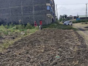 Commercial 40x60 Plot Along Mwihoko Road Near Mwireri