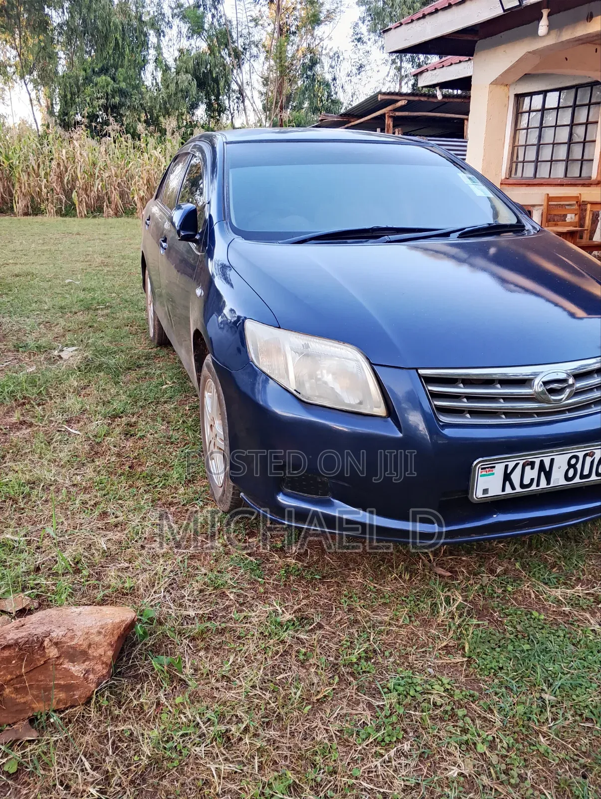 Toyota Axio 1.5 X 4WD 2010 Blue