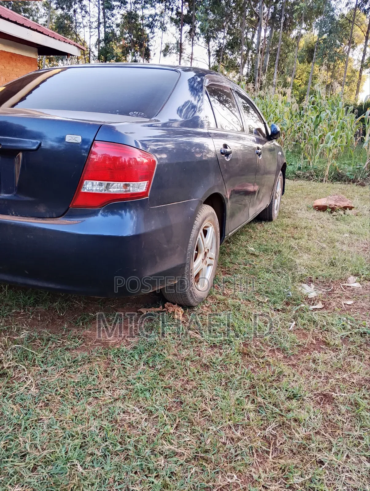 Toyota Axio 1.5 X 4WD 2010 Blue