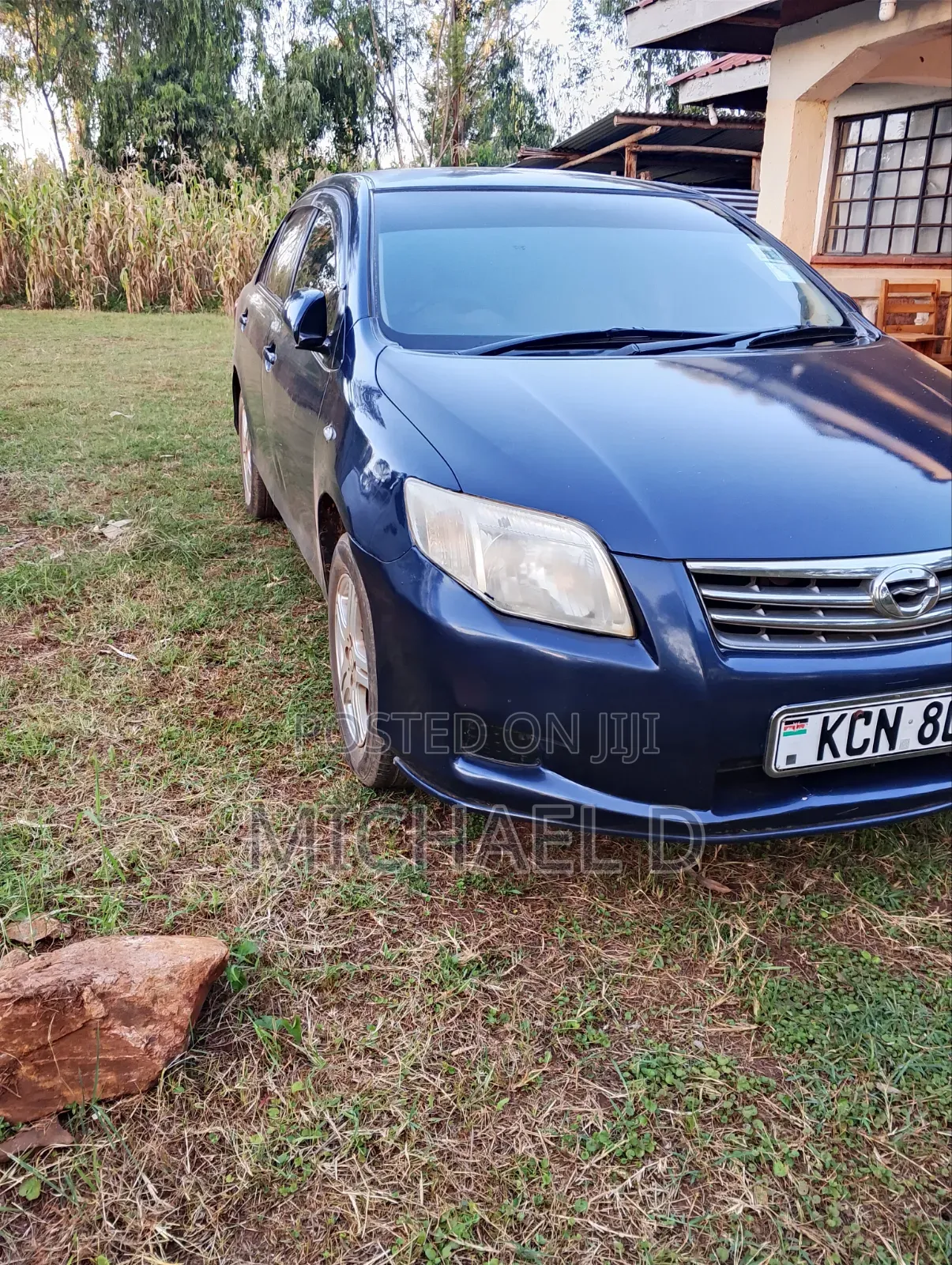 Toyota Axio 1.5 X 4WD 2010 Blue