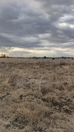 50by100 on Sell Malaa