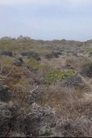 Beach Plot for Sell at Mayungu