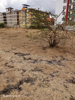 100x100 Plot Machakos Kenya Israel Selling at 7m