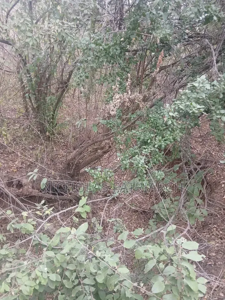 7 Acres Mutomo-Kitui Selling at Per Acre.